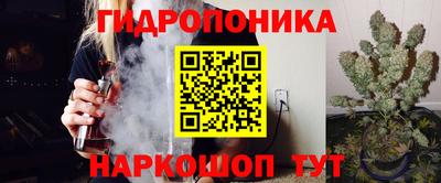 СК Кингисепп