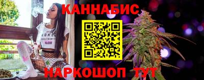 СК Кингисепп