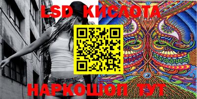 СК Кингисепп