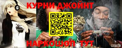 СК Кингисепп