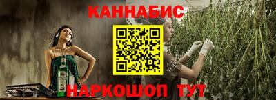 СК Кингисепп