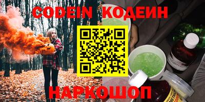 СК Кингисепп