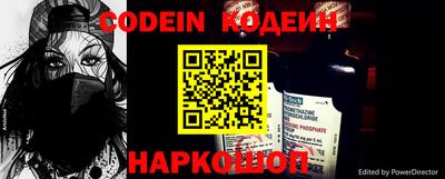 СК Кингисепп
