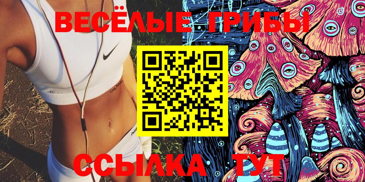 Кандалакша  наркота  Вход с VPN  Псилоцибиновые грибы Cubensis 
