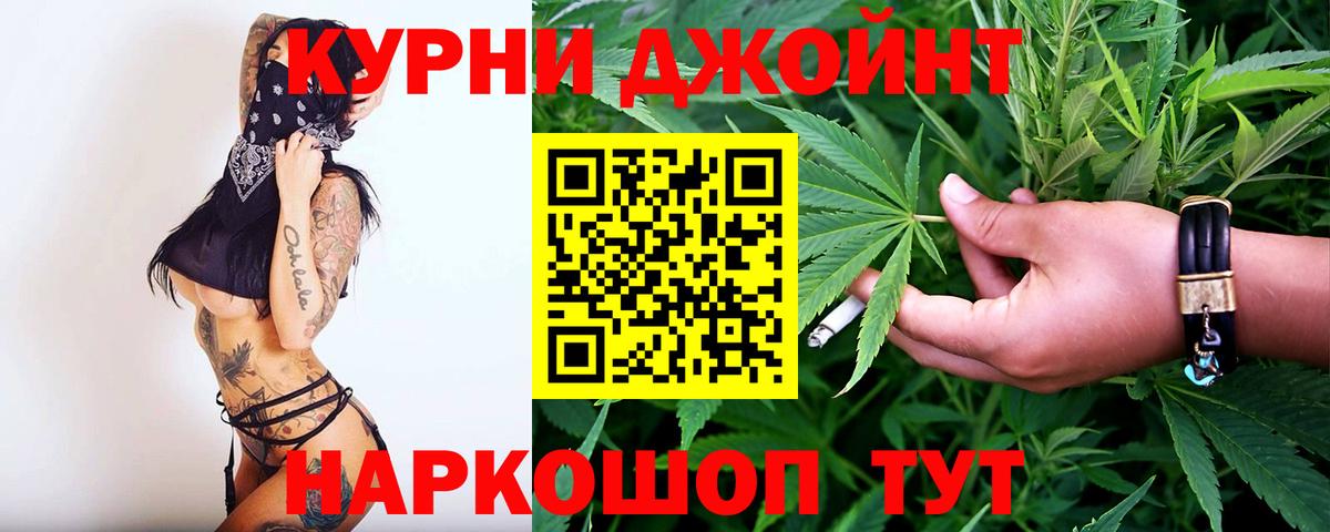 Каннабис сатива Кандалакша